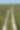 Aerial photo of Woodlands Parkway in The Woodlands, TExas