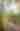 Fall East Bluff Mountain Bike