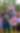 Four young adults (a woman, two men, and another woman)  smile for the camera. They're all dressed in elaborate red, white, and blue summer ensembles--complete with fake floral leis, bead necklaces, sunglasses, and rhinestone face art.