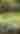 River Farm - Gardens - Picnic- Alexandria