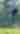Golf Fairfax - RVE - Golf Month - Permission Granted