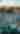 4 Lawn Tickets for $99 at DFW Summer Concerts