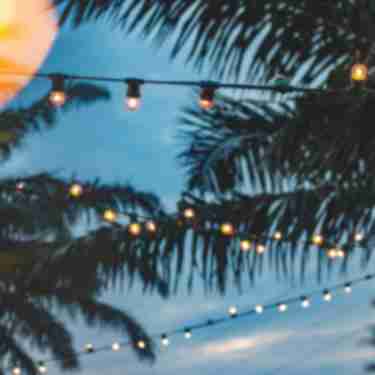 String lights and palm trees