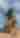 Virginia Beach King Neptune Statue