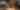 PINS_Dublin_Interior_Lanes_D49A7900_AUG_2018_Pins