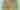 Safety Town