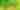 Lee St. Theatre Presents: SHREK The Musical