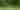 Camp Guthrie: STEAM