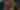 Steel Roses