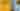 Social Media  Sunflower Summer