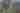 Herman Melville header