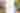 Summer Eats Header 2023