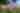 Winkworth Arboretum - National Trust Images - Hannah Elliot