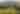 BLOG- Cheesman Park Skyline