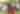 Ithaca Reggae Fest: A Celebration of Music and Culture