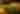 Twin Oast Night Holiday lights
