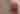 Screenshot of WFAA Tiny Doors video - focus on tiny red and white door