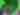A performer at the Toronto Caribbean Carnival wearing a green feathered costume and headpiece while participating in the parade