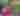 campjellystone-Instagram-2581-ig-1839584189525960989_1741477019