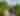 Thomas Rock Scenic Overlook photo with person walking trail through forested hiking path wearing backpack