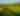 Man and a woman walking through a vineyard in the Margaret River region
