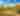 Cacti and yellow flowers blooming in the Sonoran Desert under a blue sky