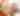 Flavors of Fall Blog Cover