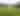 THE CJ CUP Byron Nelson