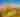 Camping in Cheyenne WY Discover Authentic Cheyenne Camping