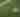 soccer ball generic