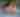 candy-cane-lights-5.jpg