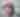 Robert Earl Keen PR
