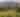 BLOG- Cheesman Park Skyline