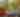 LintonsTrailFacebook-1024x538
