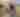 HQ Ranch Encounters