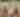 HQ Ranch Encounters