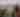 Apple Cannons | Hendricks County