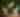 193546643_4019701158117886_4560156546200948612_n
