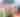 SWLA Pride Fest_2024
