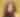 Molly Tuttle Live Music Blog
