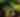 Photo of Heard Natural Science Museum Butterfly Gardens - by @kellenduplantis