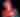 Datebook: December 2023