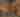 Editor’s Letter: Display Case