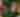 Editor's Letter: Joy Story
