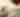 Tommy Bahama Miramonte Resort & Spa