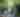George W. Childs Park | Chasing Waterfalls | August 2026