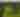 Himalayan Institute Drone Thumbnail