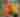 Pocono Mountains Community Fundraiser | September 2026