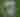 Two Creek Farm | July 2026