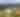 Yenser's Tree Farm | August 2026